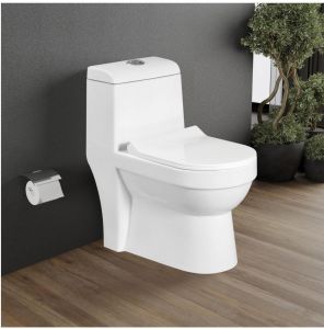 Luxury Bathroom One Piece Closet