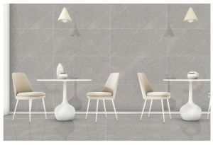 Polished Grey Ceramic Floor Tiles