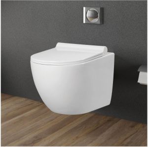 Luxury Ceramic Wall Hung Toilet Seat
