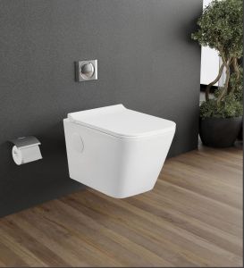 Rectangular Wall Mounted Toilet Seat