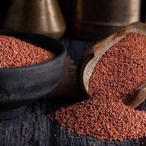 Nutritional Ragi Seeds