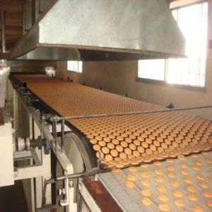 Biscuit Baking Tunnel Oven