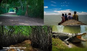dangamal bhitarkanika sanctuary wildlife trip tour package
