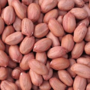 Groundnut Without Shell