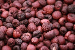 Dried Betel Nut