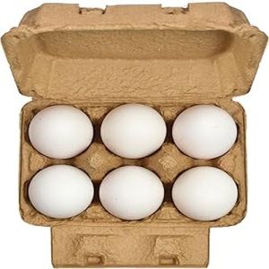 6 Pieces Fresh White Eggs