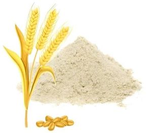 Wheat Gluten Powder