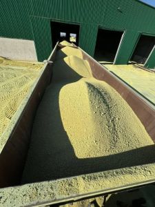 Industrial Grade Yellow Sulphur Granules