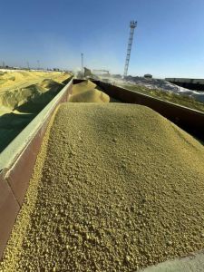 Pure Yellow Sulphur Granules