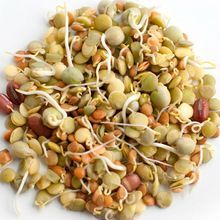 Dry Sprouted Moong