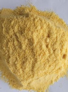 STP Bio Culture Powder