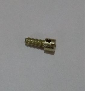 3 Inch Brass Slotted Sealing Screw