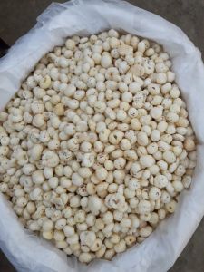 5 Plus Suta Phool Makhana
