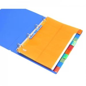 Plastic File Folder With Divider