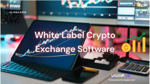 white label crypto exchange development service