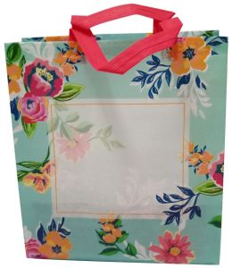 Non Woven Gift Bags