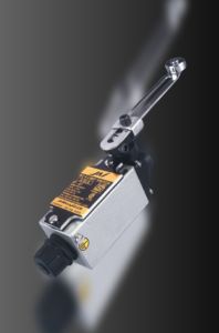 10 AMP Dust Proof Limit Switch