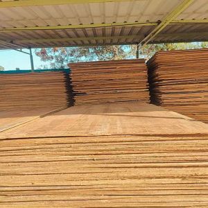 Marine Plywood Sheet