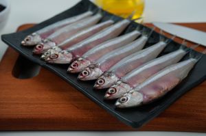 Anchovy Fish