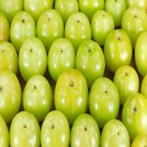 Fresh Green Amla