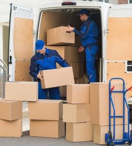 Domestic Relocation Service