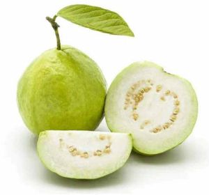 A Grade Fresh Organic Guava