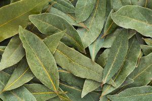 A Grade Organic Bay Leaves
