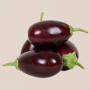 A Grade Organic Fresh Brinjal