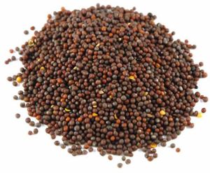 A Grade Organic Mustard Seed