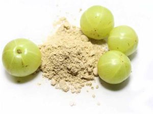 Organic Amla Powder