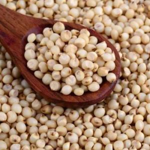 Organic Jowar Millet