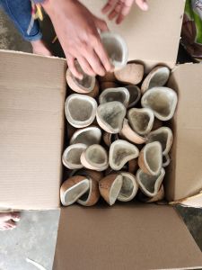 Half Coconut Copra