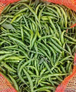 Green Chilli