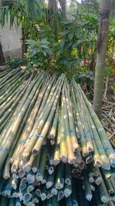 Bamboo Poles 20 Feet Tall