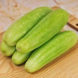 Cucumber