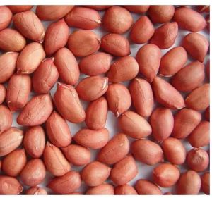 shengdana peanut