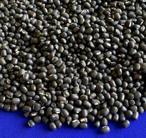 Sabut Urad Dal