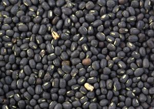 Sabut Urad Dal