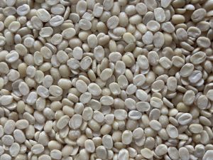 Split Urad Dal