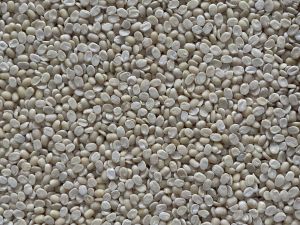 Split Urad Dal