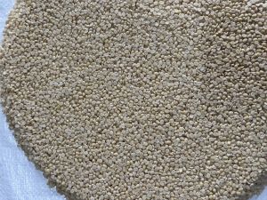 Split Urad Dal
