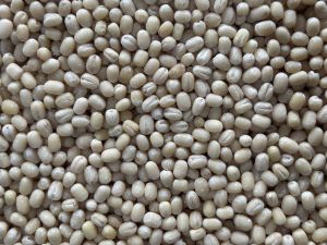 Urad Gota Dal