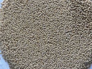 Urad Gota Dal