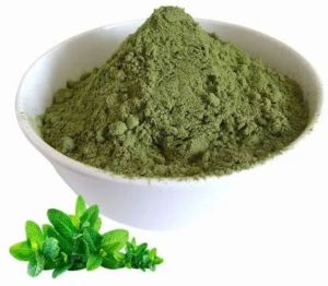 Green Dried Mint Powder