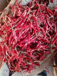 Dry Red Chili