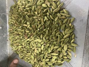 Green Cardamom