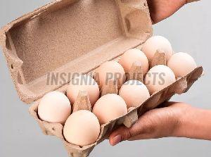 Egg Cartons