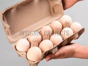 Egg Cartons