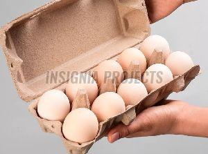 Egg Cartons