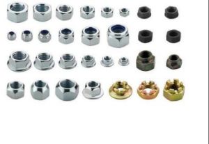 Stainless Steel Nut